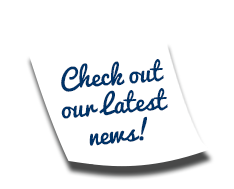 link translation news